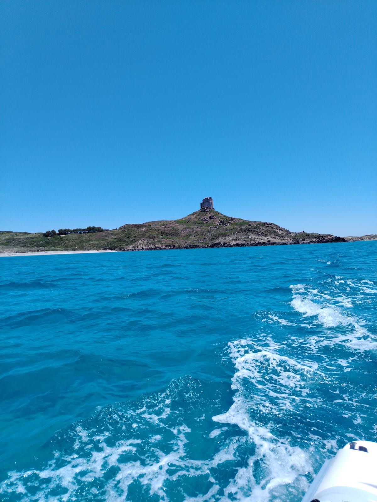 Torre Costiera - escursione Isola di Mal di Ventre